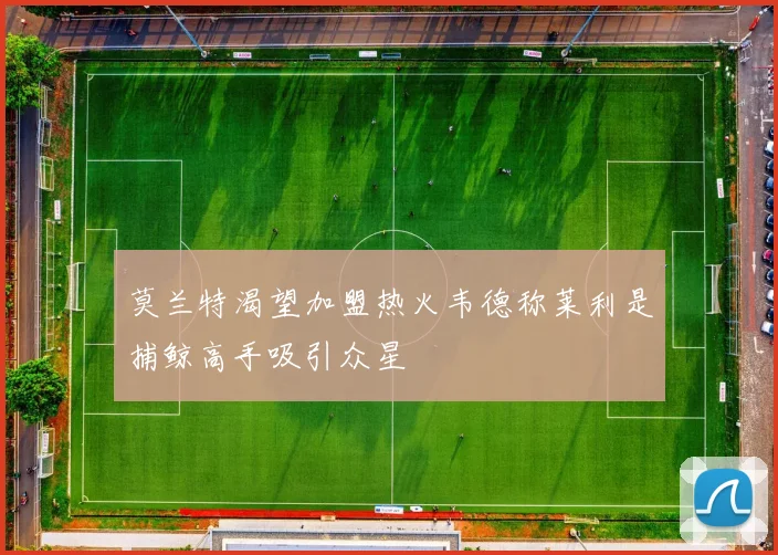莫兰特渴望加盟热火韦德称莱利是捕鲸高手吸引众星